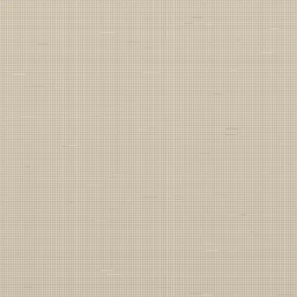 Cotton Canvas 280 GSM — sample image, not a photograph of the goods